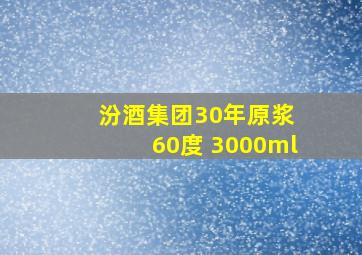 汾酒集团30年原浆 60度 3000ml